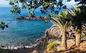 Alcala Surf Camp